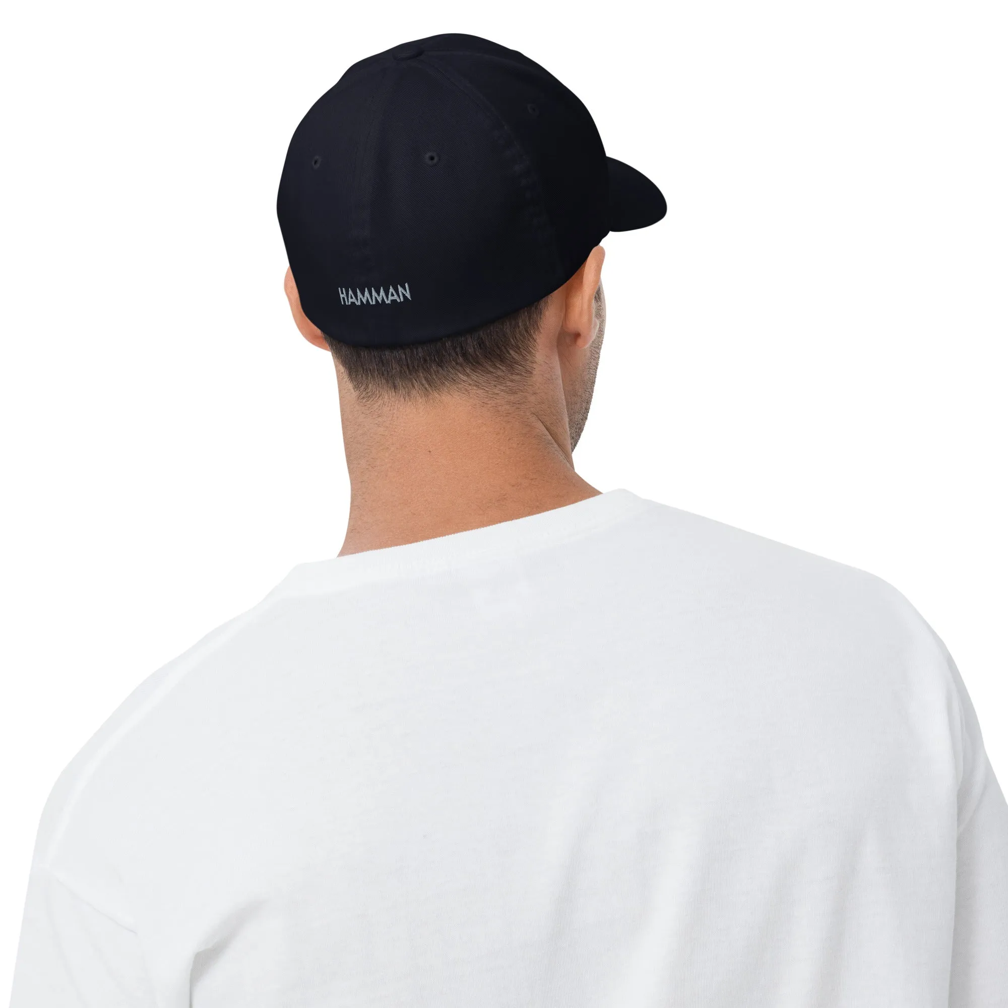 2025-1 Fitted HAMMAN